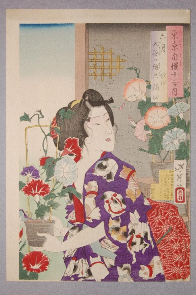 月岡芳年「東京自慢十二か月 六月入谷朝顔」明治13年（1881）　の画像。